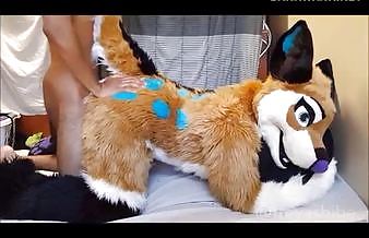 Furry babe gets fucked doggystyle