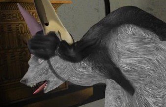 Zoe & The Beast - 3D Werejackal Transformation