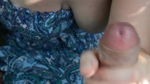 Fucked a friend's wife on a picnic in the bushes