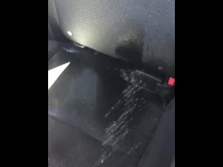 Peeing in backseat #2